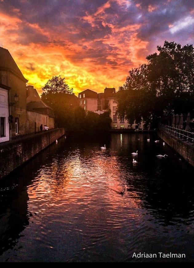 Canal Central Brugge Bagian luar foto