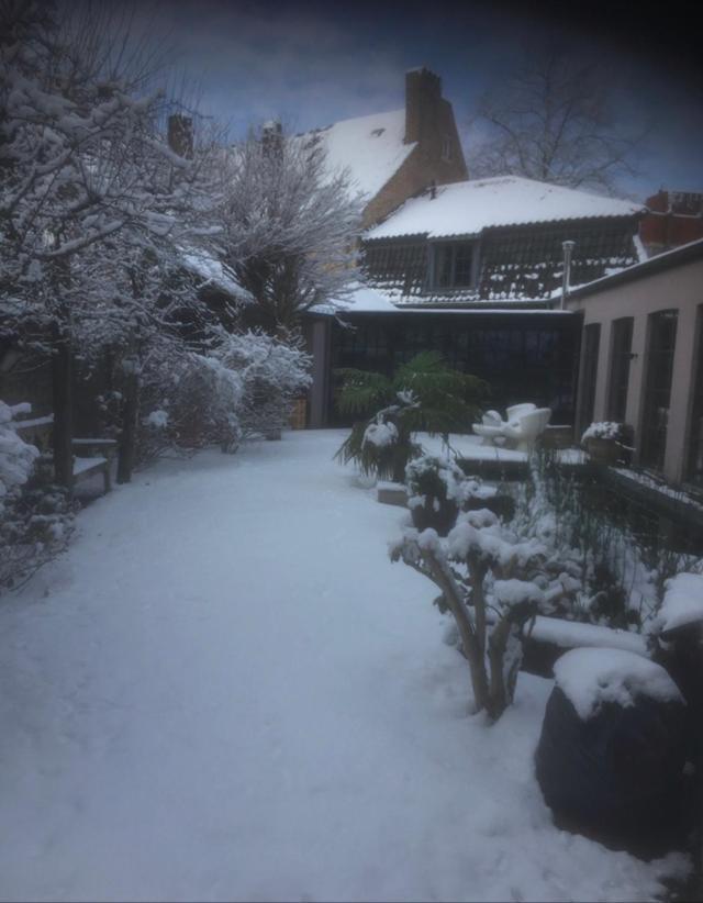 Canal Central Brugge Bagian luar foto